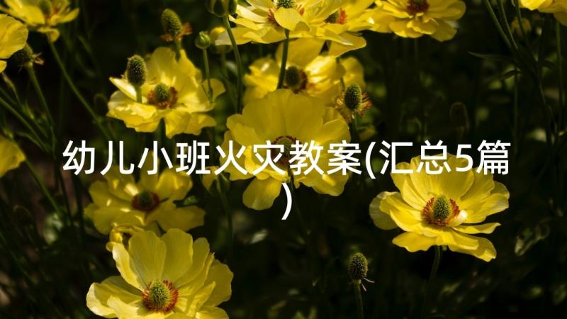 幼儿小班火灾教案(汇总5篇)