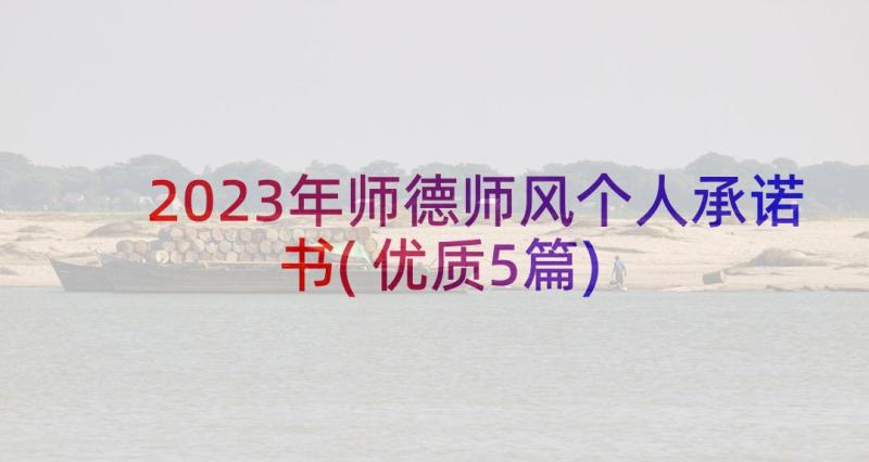 2023年师德师风个人承诺书(优质5篇)