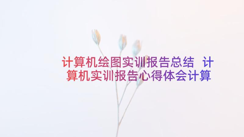 计算机绘图实训报告总结 计算机实训报告心得体会计算机实训总结(大全5篇)