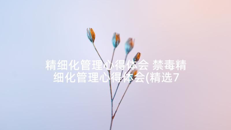 精细化管理心得体会 禁毒精细化管理心得体会(精选7篇)