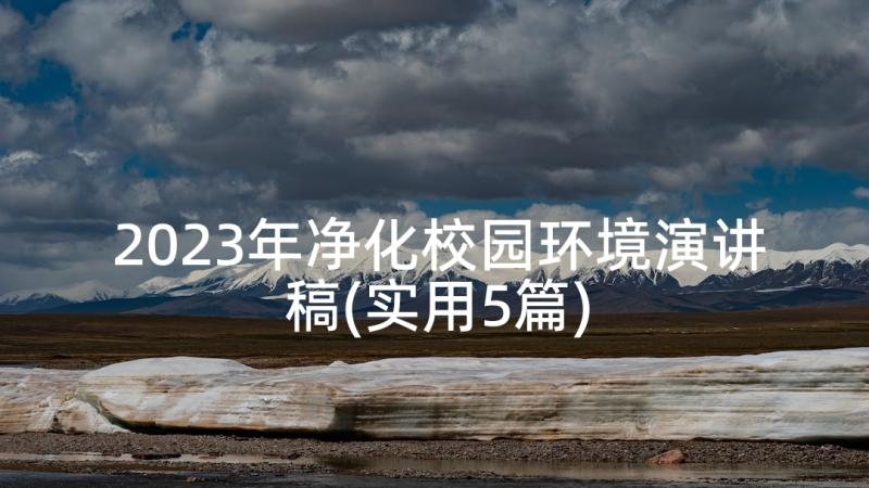 2023年净化校园环境演讲稿(实用5篇)