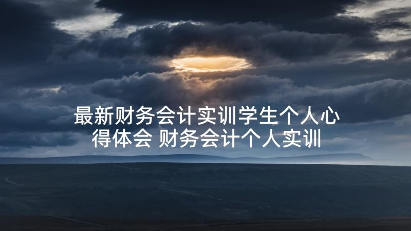 最新财务会计实训学生个人心得体会 财务会计个人实训心得(模板5篇)