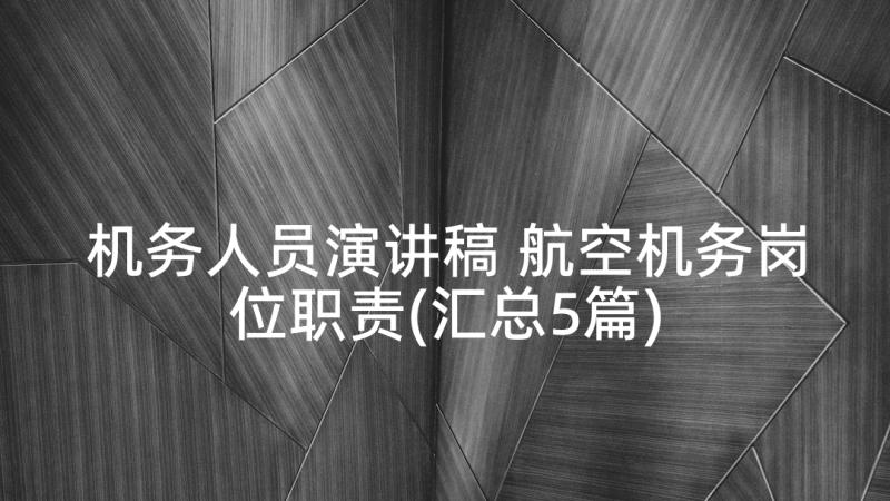 机务人员演讲稿 航空机务岗位职责(汇总5篇)