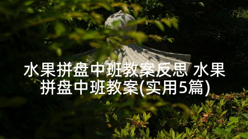 水果拼盘中班教案反思 水果拼盘中班教案(实用5篇)