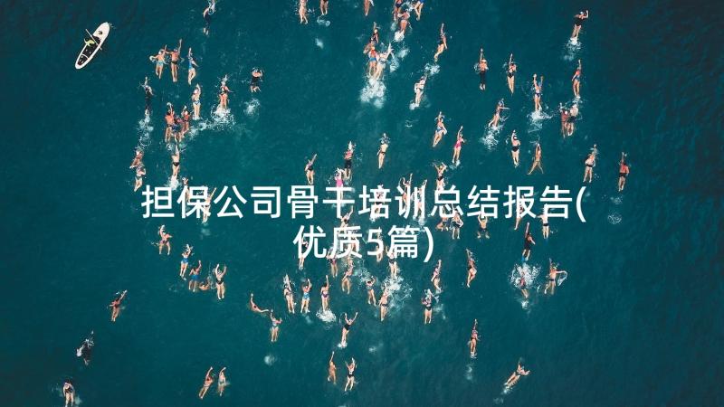 担保公司骨干培训总结报告(优质5篇)