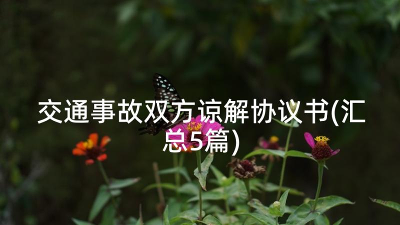 交通事故双方谅解协议书(汇总5篇)