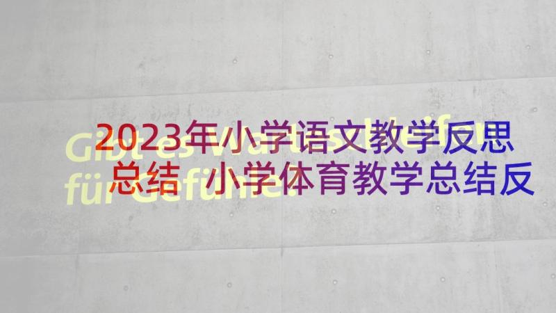 2023年小学语文教学反思总结 小学体育教学总结反思(实用6篇)