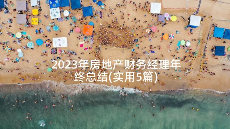 2023年房地产财务经理年终总结(实用5篇)