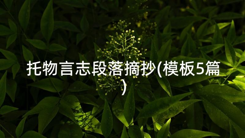 托物言志段落摘抄(模板5篇)