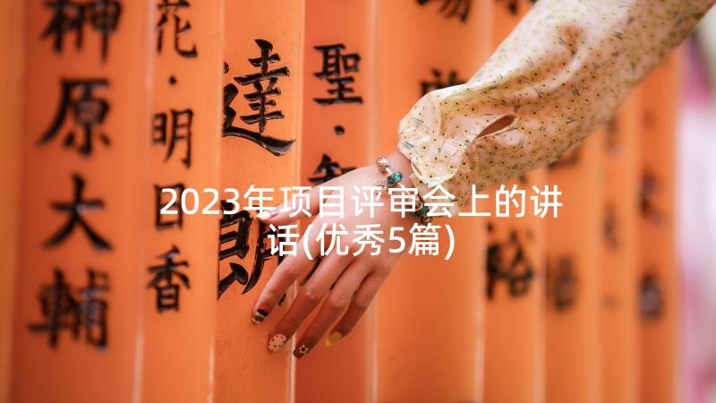 2023年项目评审会上的讲话(优秀5篇)