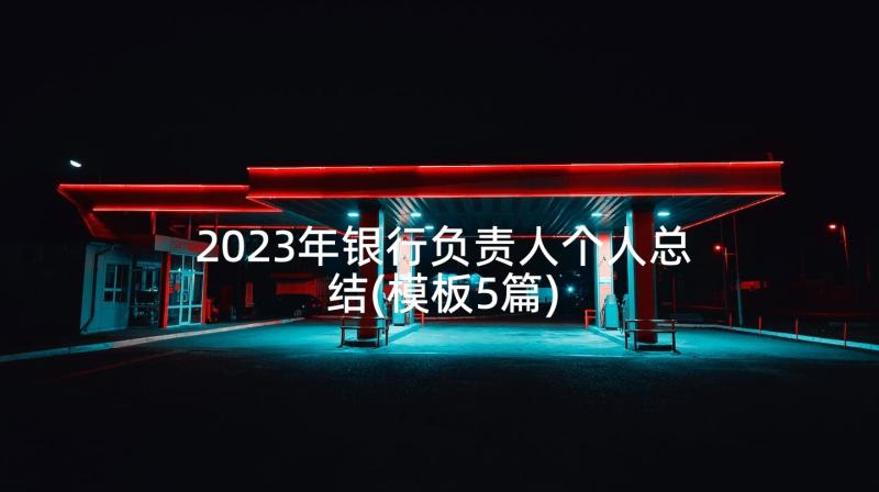 2023年银行负责人个人总结(模板5篇)