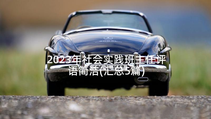 2023年社会实践班主任评语简洁(汇总5篇)