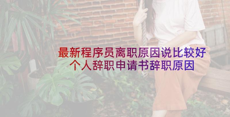 最新程序员离职原因说比较好 个人辞职申请书辞职原因(汇总6篇)