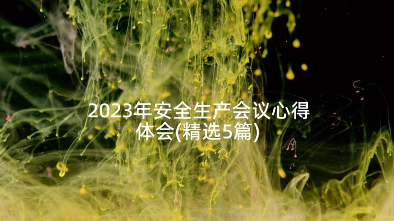 2023年安全生产会议心得体会(精选5篇)