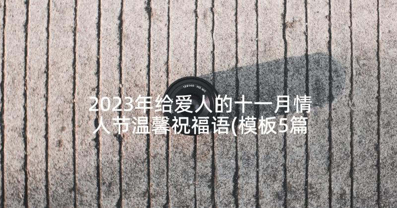 2023年给爱人的十一月情人节温馨祝福语(模板5篇)