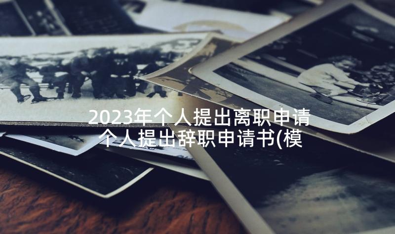 2023年个人提出离职申请 个人提出辞职申请书(模板6篇)