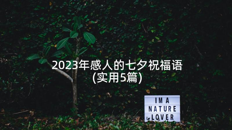 2023年感人的七夕祝福语(实用5篇)