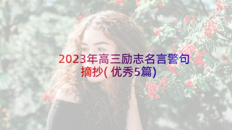 2023年高三励志名言警句摘抄(优秀5篇)