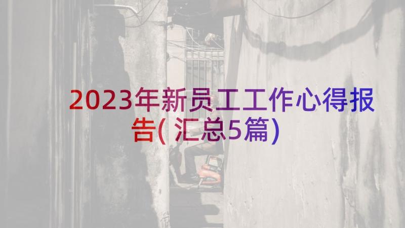 2023年新员工工作心得报告(汇总5篇)