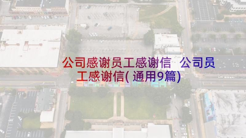 公司感谢员工感谢信 公司员工感谢信(通用9篇)