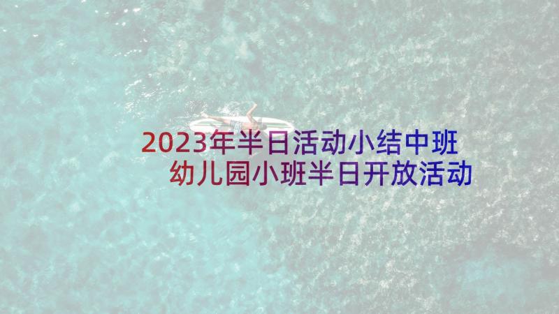 2023年半日活动小结中班 幼儿园小班半日开放活动方案(优质5篇)