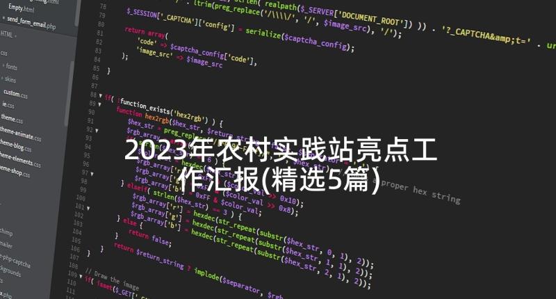 2023年农村实践站亮点工作汇报(精选5篇)