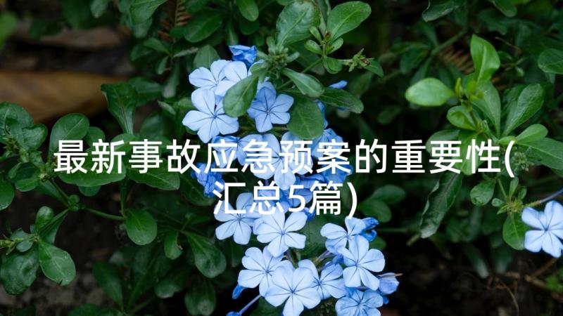 最新事故应急预案的重要性(汇总5篇)