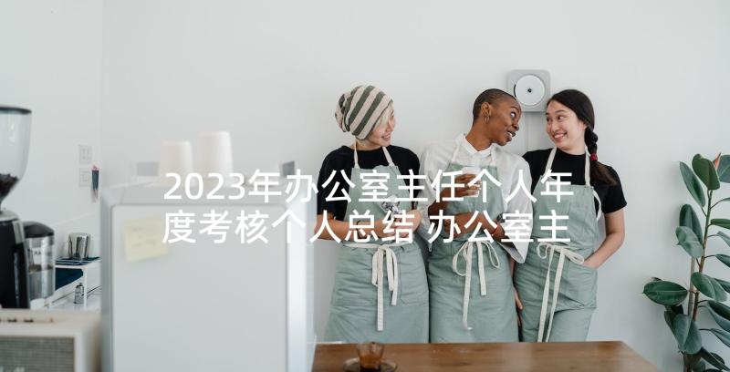 2023年办公室主任个人年度考核个人总结 办公室主任个人工作总结(实用9篇)