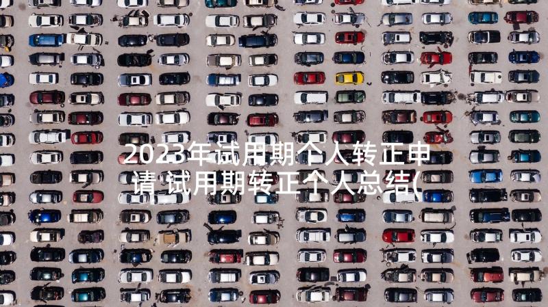 2023年试用期个人转正申请 试用期转正个人总结(大全7篇)