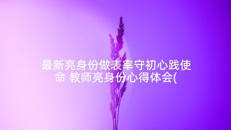 最新亮身份做表率守初心践使命 教师亮身份心得体会(通用7篇)