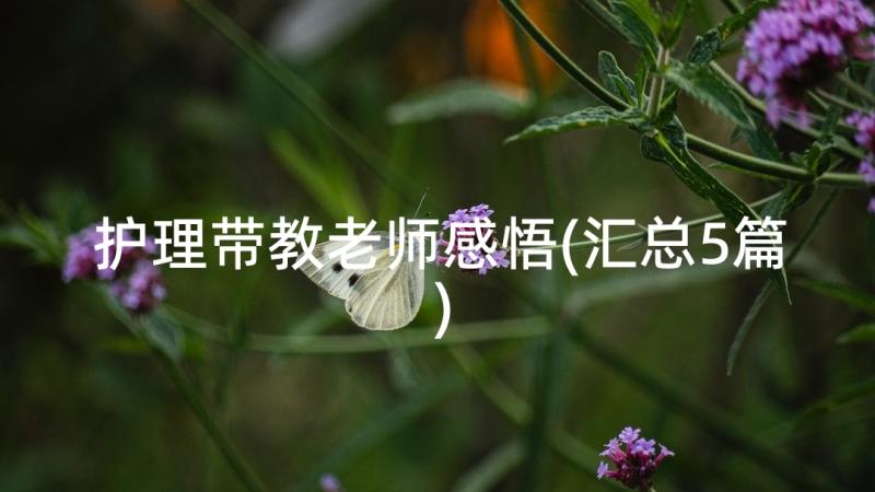 护理带教老师感悟(汇总5篇)