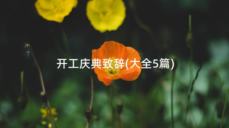 开工庆典致辞(大全5篇)