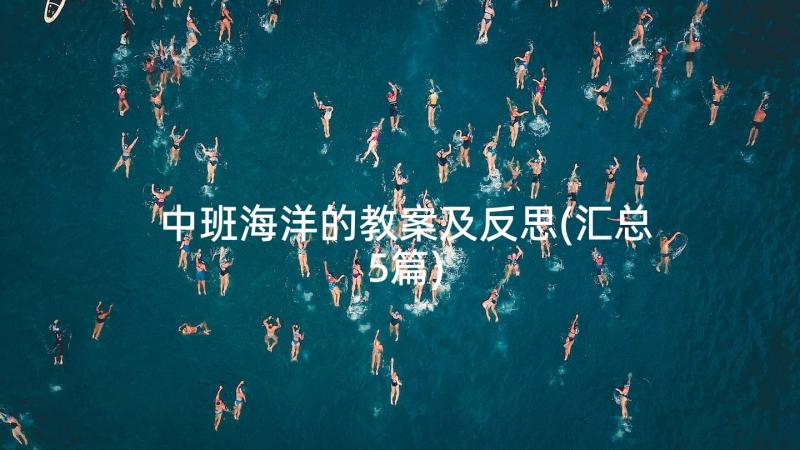 中班海洋的教案及反思(汇总5篇)