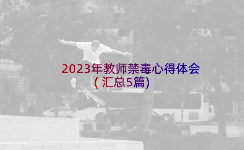 2023年教师禁毒心得体会(汇总5篇)