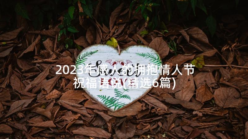 2023年感人的拥抱情人节祝福语说(精选6篇)