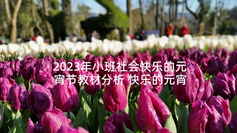 2023年小班社会快乐的元宵节教材分析 快乐的元宵节中班教案(大全8篇)