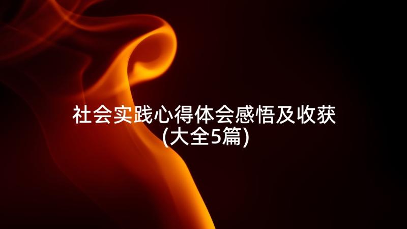 社会实践心得体会感悟及收获(大全5篇)