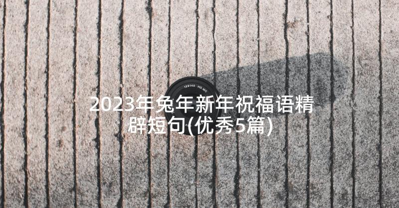 2023年兔年新年祝福语精辟短句(优秀5篇)