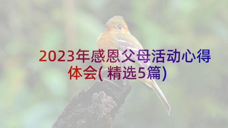 2023年感恩父母活动心得体会(精选5篇)