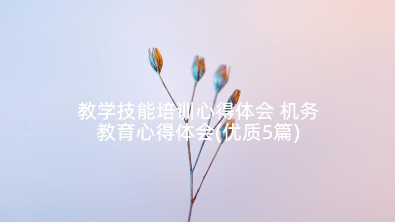 教学技能培训心得体会 机务教育心得体会(优质5篇)