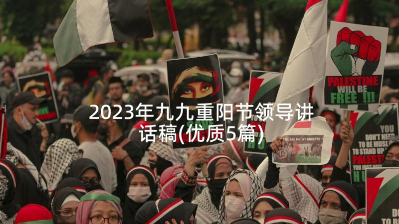 2023年九九重阳节领导讲话稿(优质5篇)