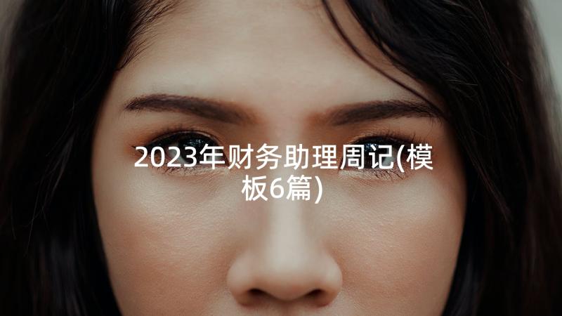 2023年财务助理周记(模板6篇)