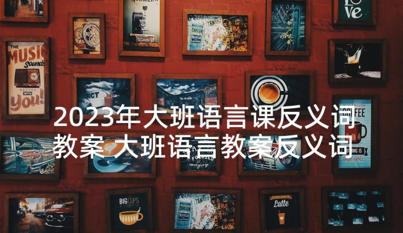 2023年大班语言课反义词教案 大班语言教案反义词(优质5篇)