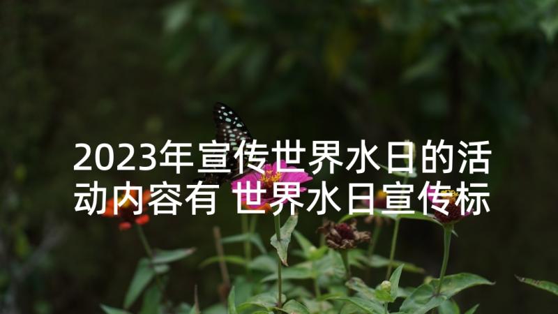 2023年宣传世界水日的活动内容有 世界水日宣传标语(实用6篇)