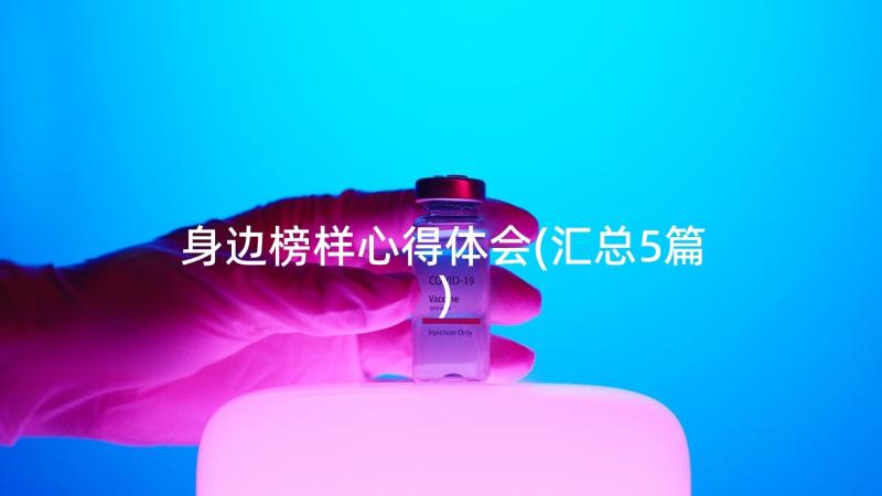 身边榜样心得体会(汇总5篇)