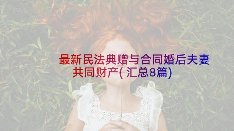 最新民法典赠与合同婚后夫妻共同财产(汇总8篇)