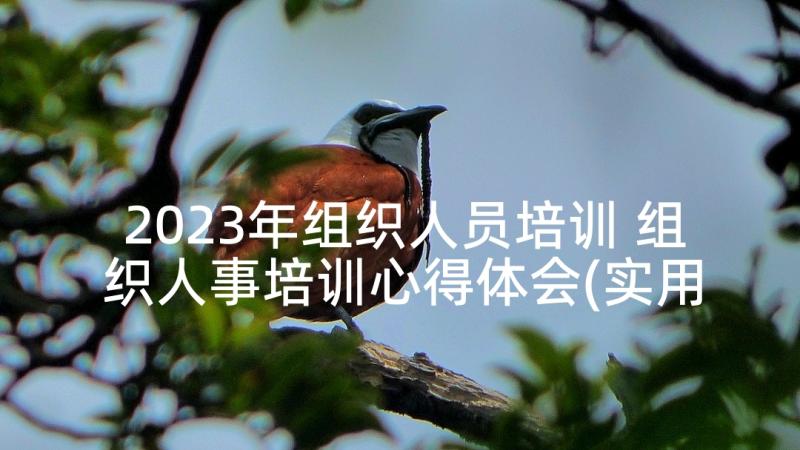 2023年组织人员培训 组织人事培训心得体会(实用5篇)