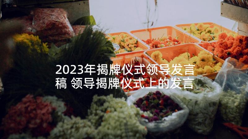 2023年揭牌仪式领导发言稿 领导揭牌仪式上的发言稿(大全5篇)