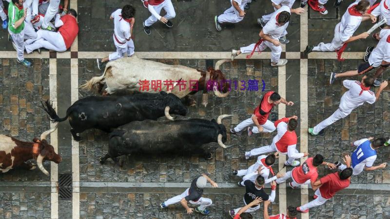 清明节节日（热门13篇）