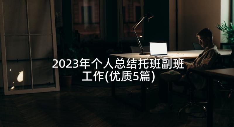 2023年个人总结托班副班工作(优质5篇)